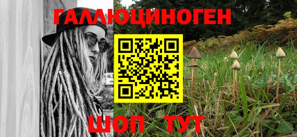 Псилоцибиновые грибы Magic Shrooms  Галлюциногенные грибы Magic Shrooms  Котельники 